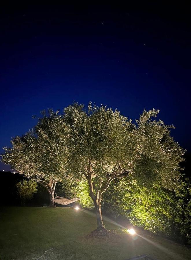 Villa Aurelia San Teodoro  Esterno foto